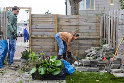 tuin waar tegels vervangen worden door groen