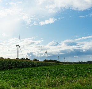 De Baars (windmolens op een rij)