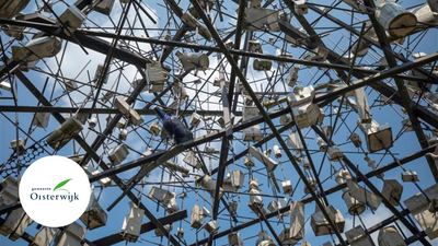 Kunst op KVL terrein bij EKWC