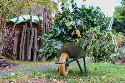 Foto kruiwagen met tuinafval