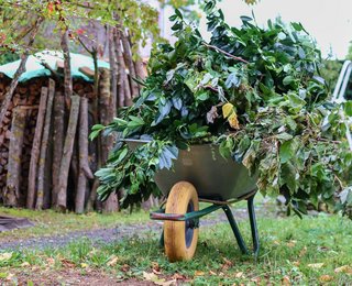 Foto kruiwagen met tuinafval