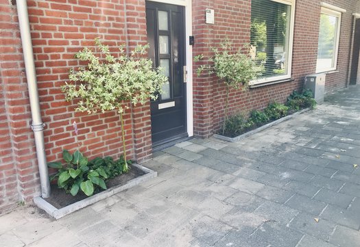 voorbeeld geveltuin