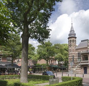 Raadhuis met op voorgrond bomen 
