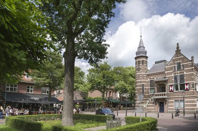 Raadhuis met op voorgrond bomen 