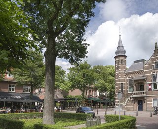 Raadhuis met op voorgrond bomen 