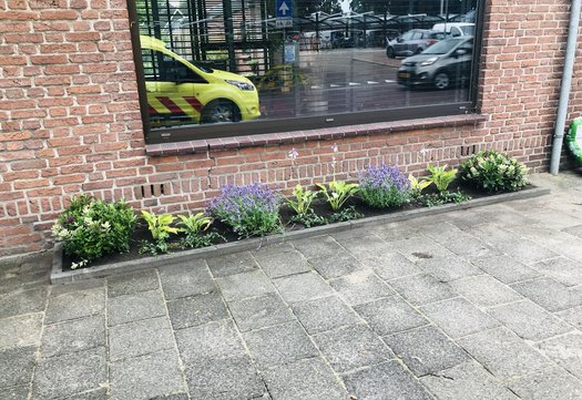 voorbeeld geveltuin