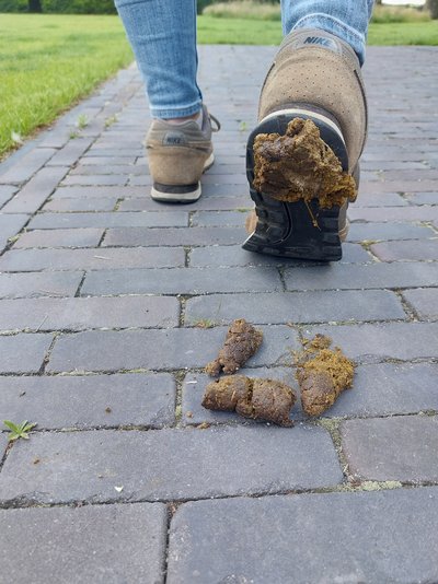 wandelaar trapt in hondenpoep