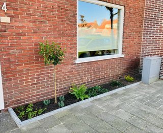 Geveltuin Peellandstraat, tuintje met aarde en beplanting langs de gevel