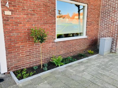 Geveltuin Peellandstraat, tuintje met aarde en beplanting langs de gevel