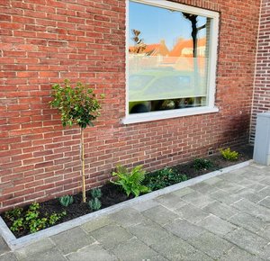 Geveltuin Peellandstraat, tuintje met aarde en beplanting langs de gevel