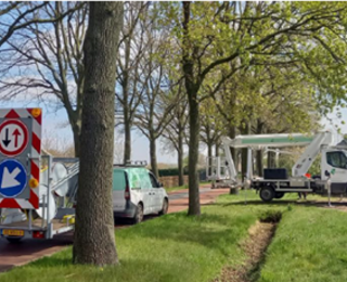 Wagens bij eikenprocessierups bomen