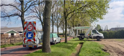 Wagens bij eikenprocessierups bomen