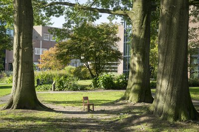 Oisterwijk gemeentekantoor en stoeltje