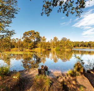 Natuurfoto van Oisterwijkse bossen en vennen