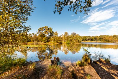 Natuurfoto van Oisterwijkse bossen en vennen