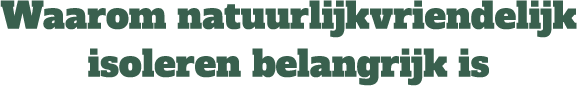 Waarom natuurvriendelijk isoleren belangrijk is
